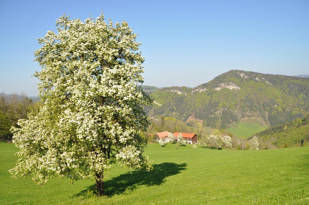Apart Dirndltal Loich Zewnętrze zdjęcie