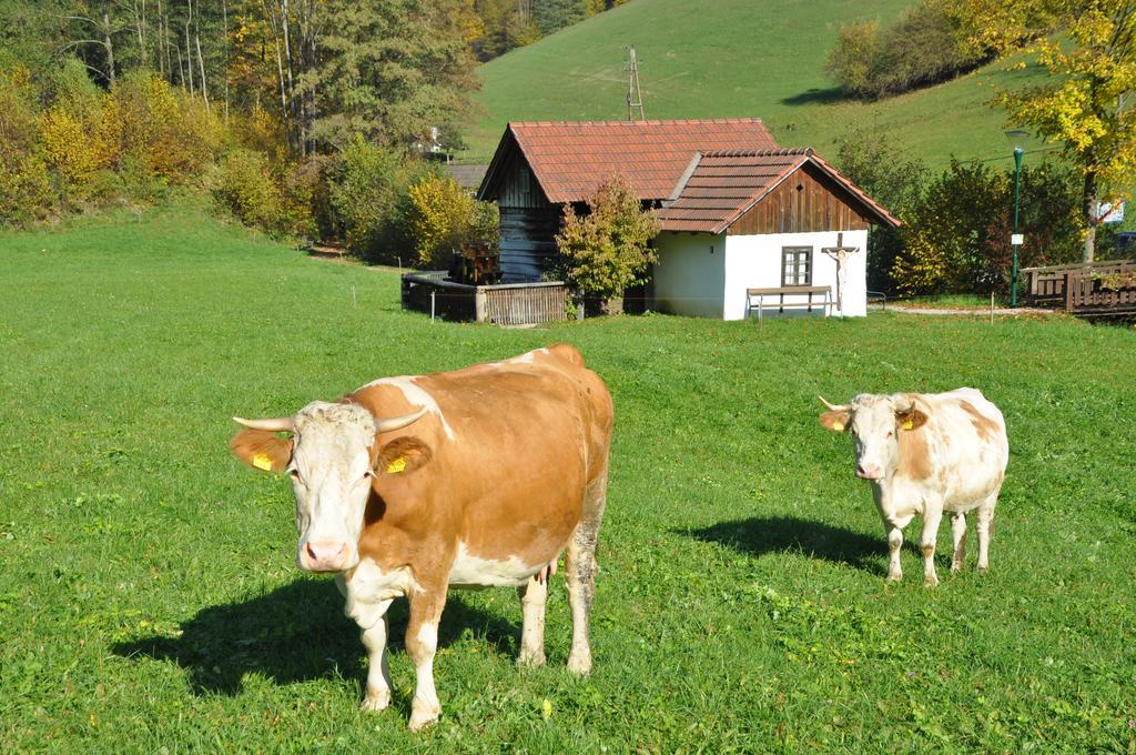 Apart Dirndltal Loich Zewnętrze zdjęcie